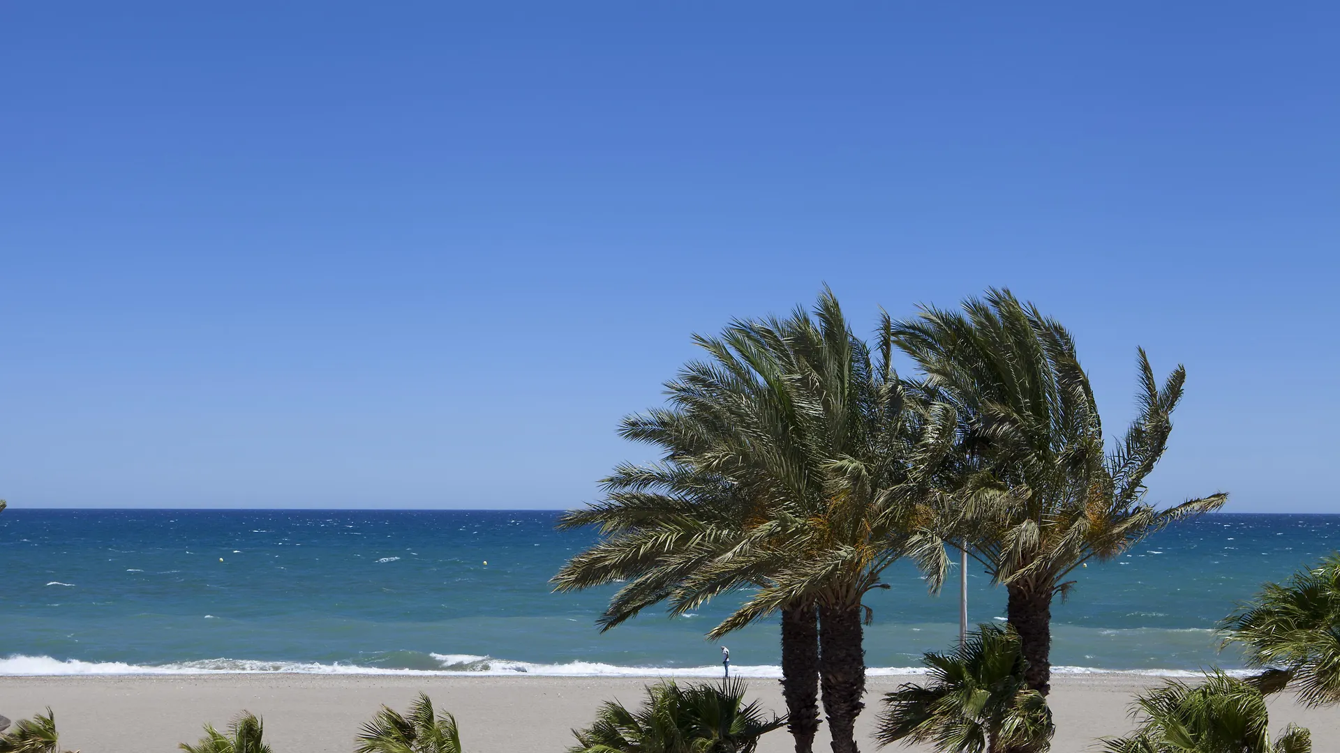 Playavera Hotel Vera